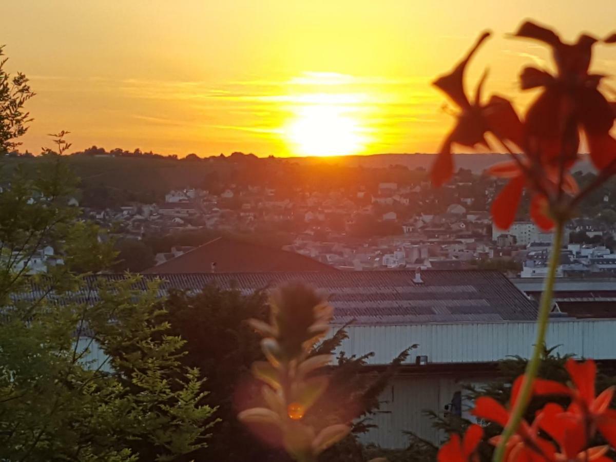 La Villa Geiss Épernay Esterno foto